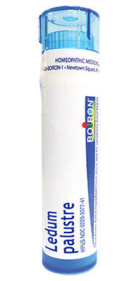Boiron Ledum palustre